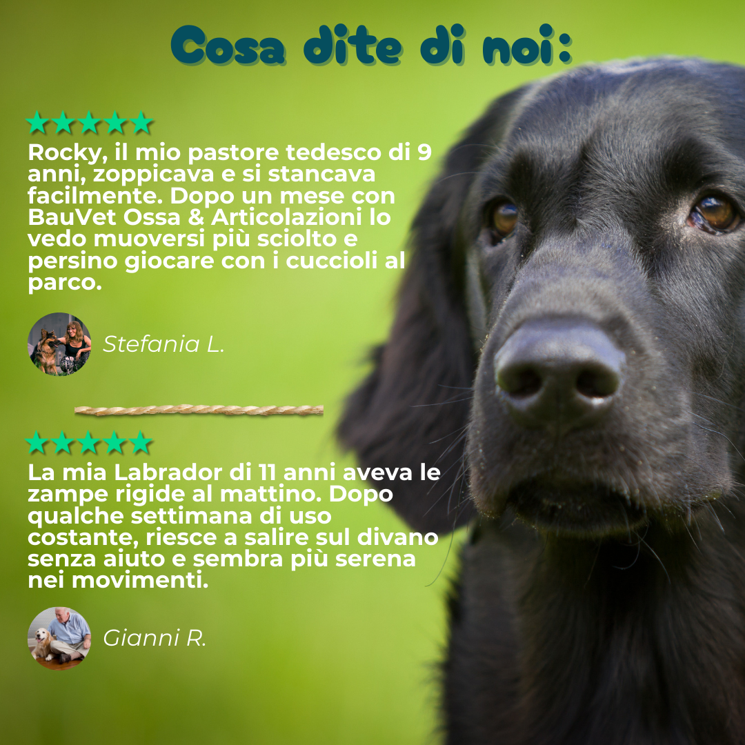 Ossa & Articolazioni - Integratore per la Mobilità