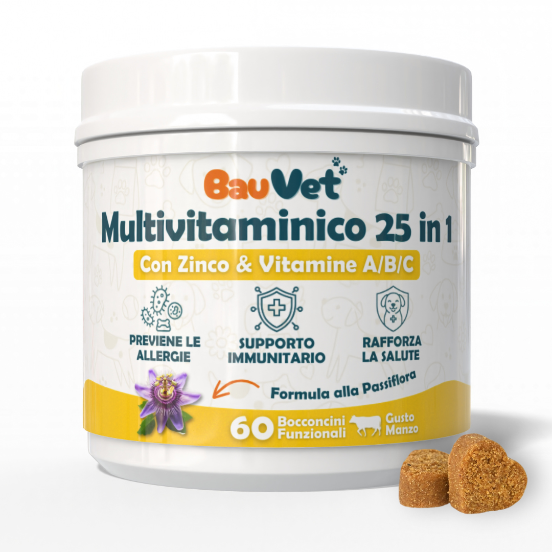 Multivitaminico 25 in 1 - Integratore per la Salute Generale
