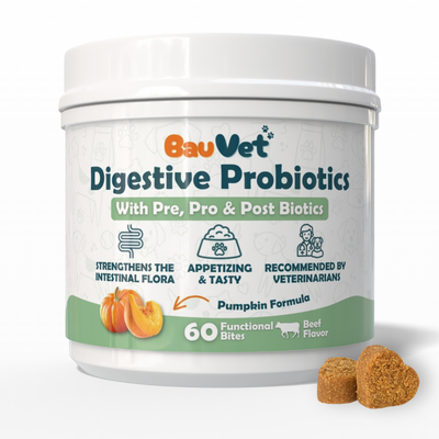 Digestive Probiotics - Supplement for Intestinal Care