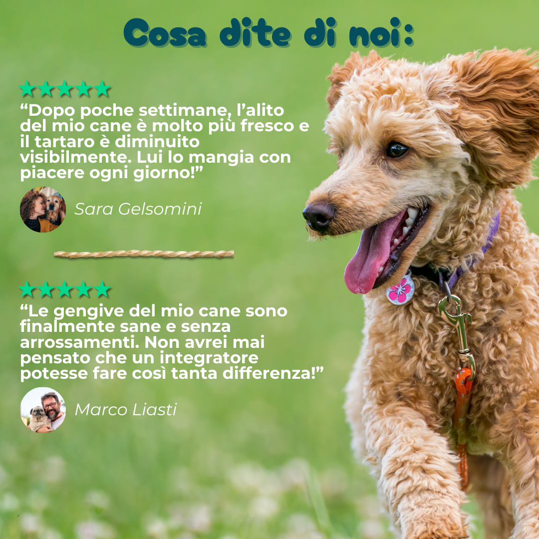 Denti, Gengive & Alito - Integratore per l'Igiene Orale