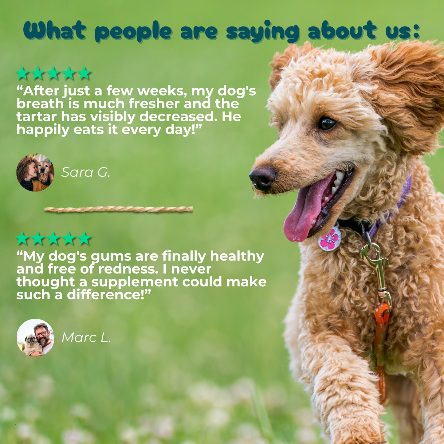 Teeth, Gums & Breath - Oral Hygiene Supplement