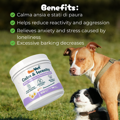 Calm & Serenity - Supplement for Anxiety and Stress