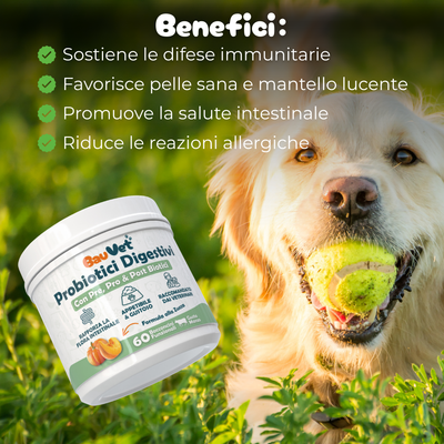 Probiotici Digestivi - Integratore per la cura dell'Intestino