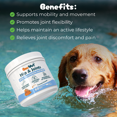 Hip & Joints - Mobility Supplement