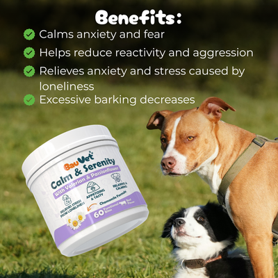 Calm & Serenity - Supplement for Anxiety and Stress