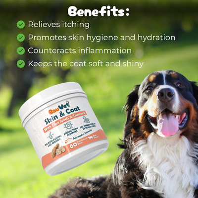 Skin & Coat - Supplement for hair and itch care