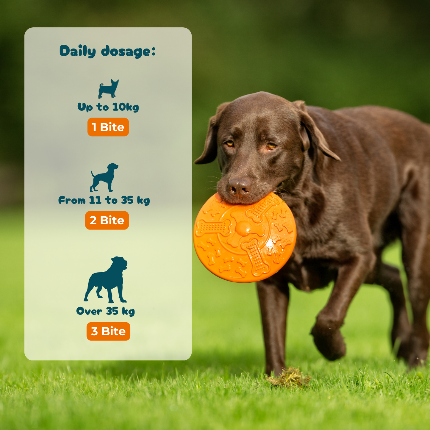 Pelo & Cute - Supplement for hair care