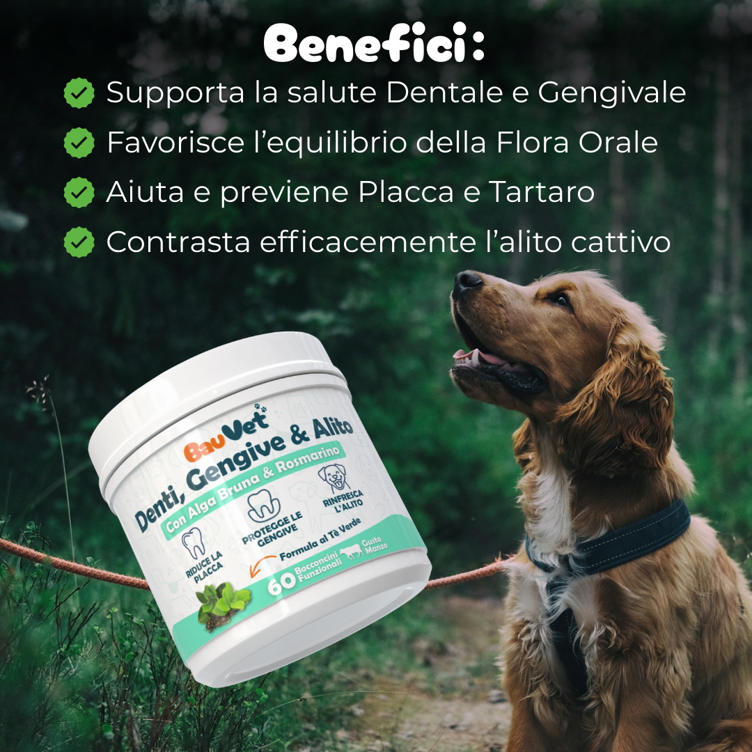Denti, Gengive & Alito - Integratore per l'Igiene Orale