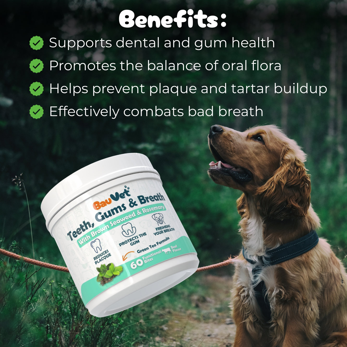 Teeth, Gums & Breath - Oral Hygiene Supplement