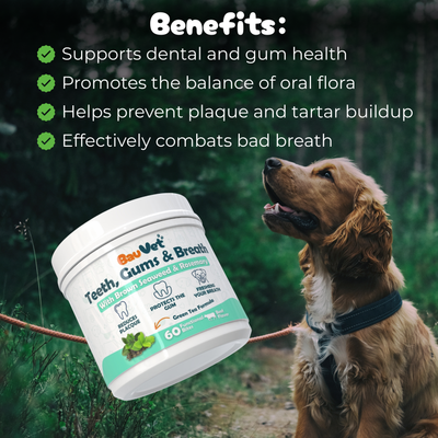 Teeth, Gums & Breath - Oral Hygiene Supplement1