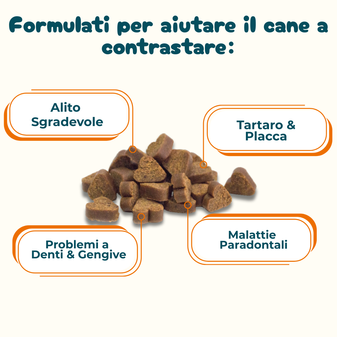 Denti, Gengive & Alito - Integratore per l'Igiene Orale