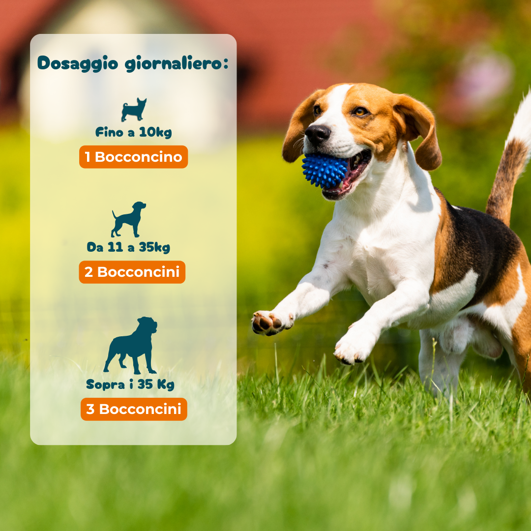 Denti, Gengive & Alito - Integratore per l'Igiene Orale