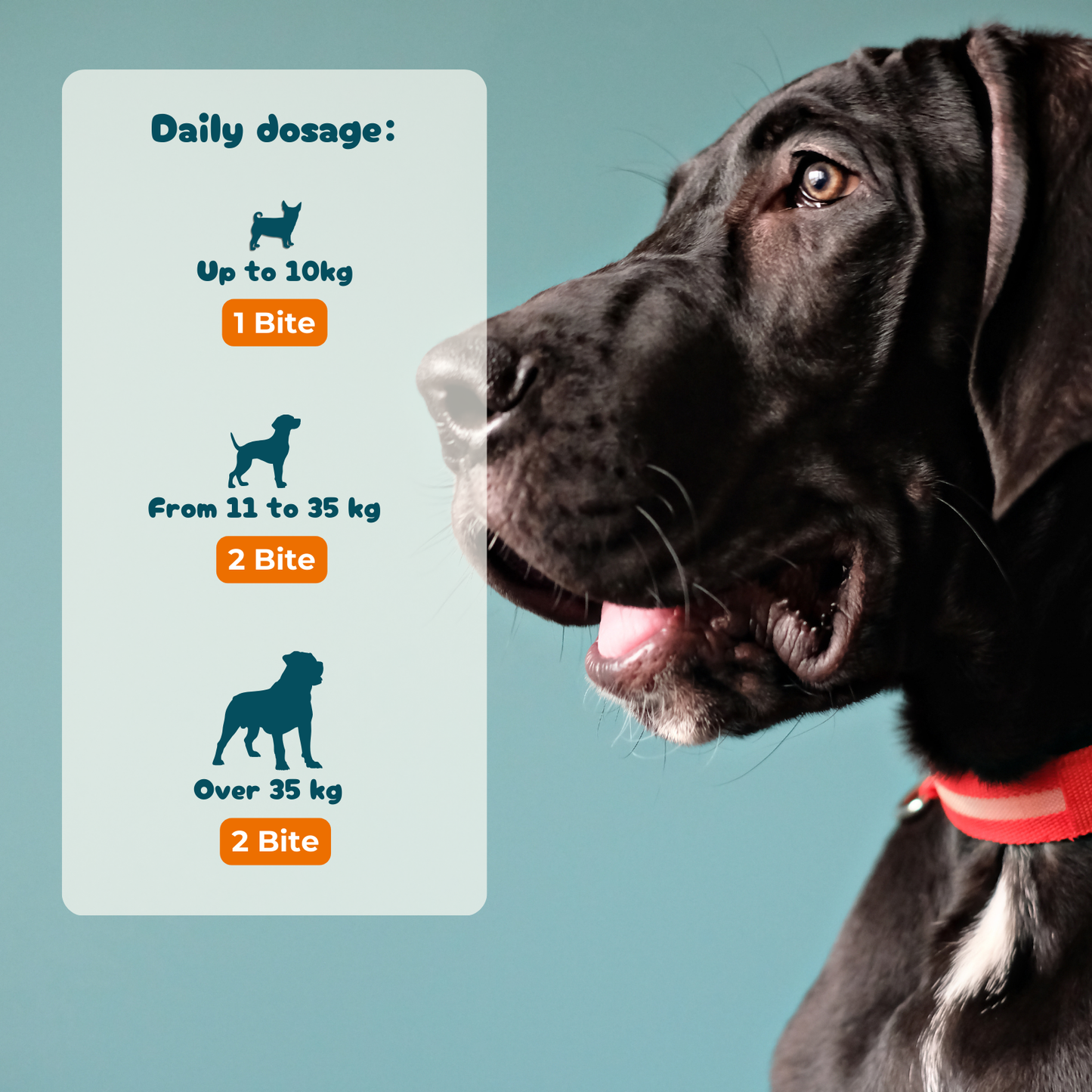 Calm & Serenity - Supplement for Anxiety and Stress