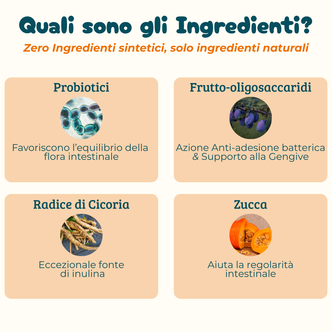 Probiotici Digestivi - Integratore per la cura dell'Intestino